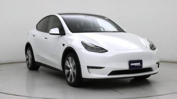 TESLA MODEL Y 2021 5YJYGDEE8MF099488 image